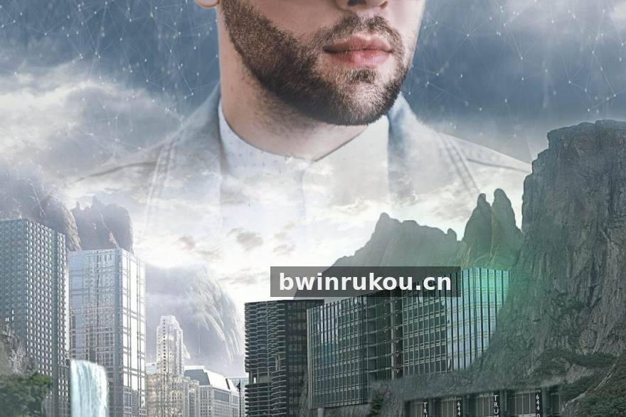 bwin 智能分析辅助系统界面