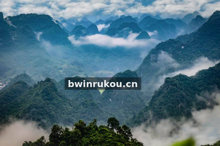 bwin 编辑部数据研究团队工作场景