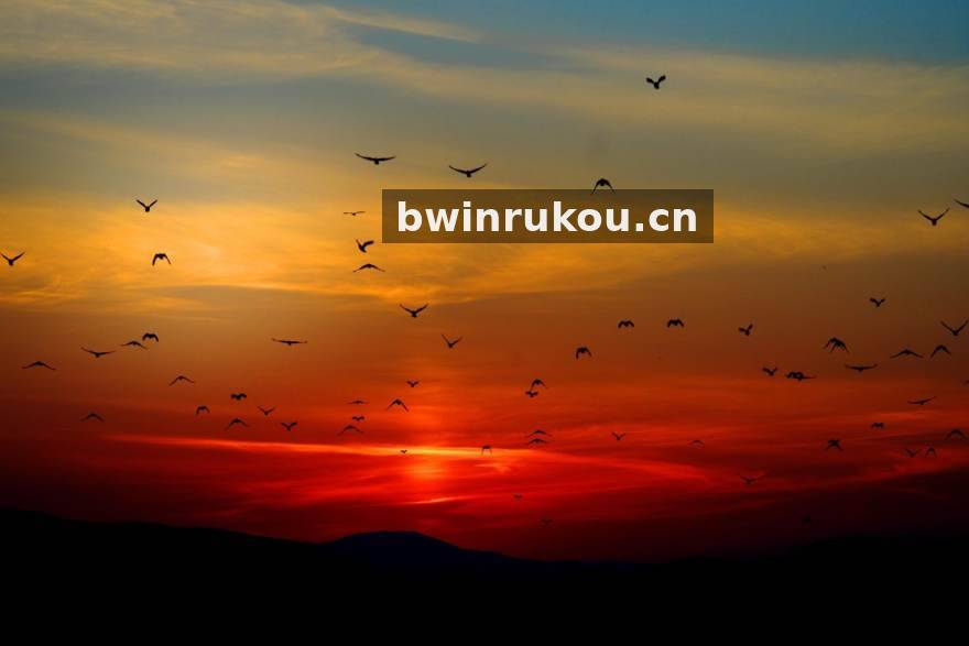 bwin 欧冠战术热点文章配图