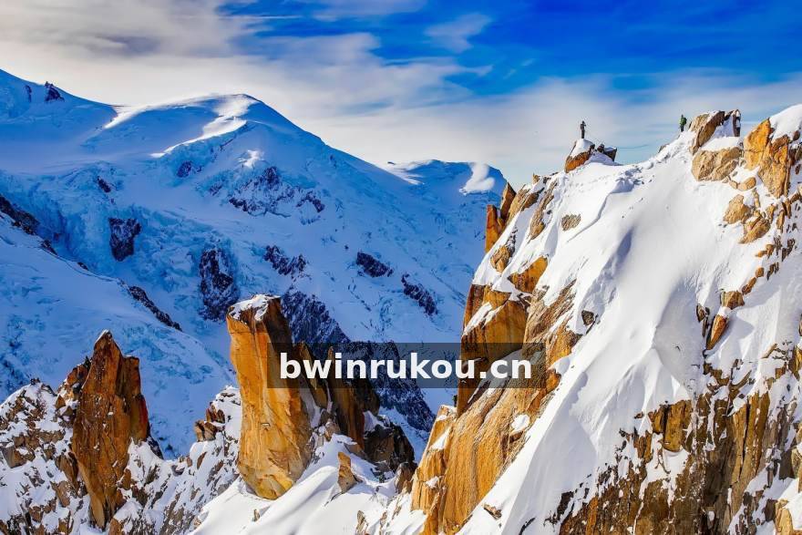 bwin 专业赛事分析工作台