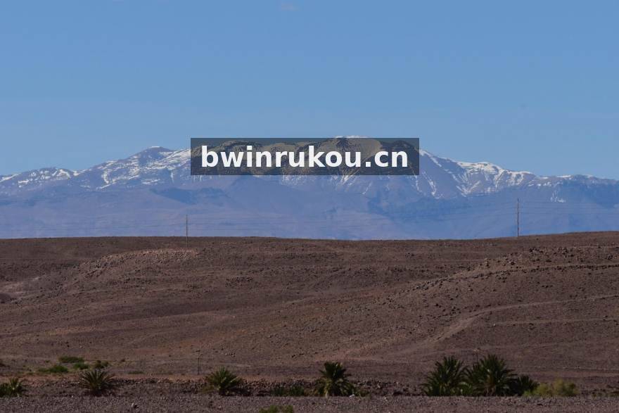 bwin 赛事分析预测栏目