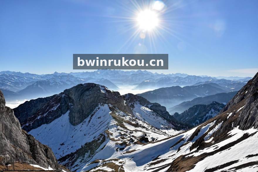 bwin 早期赛事资料库界面
